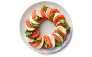 Starter